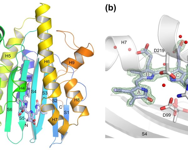 gtpebb-jbc-paper-2019.jpg