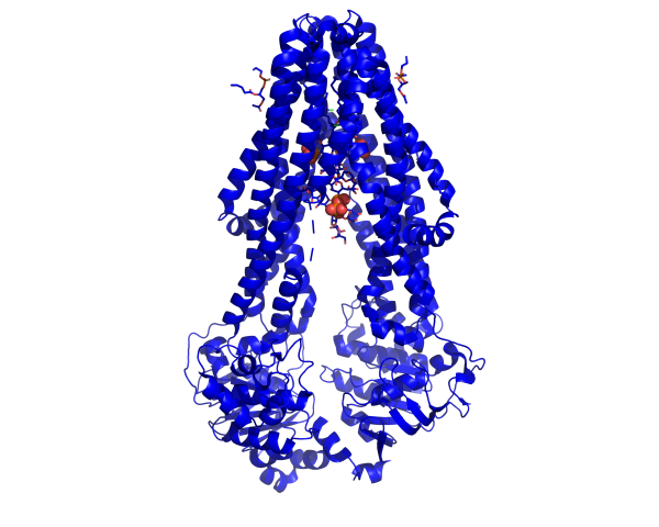 msba-nbd-image.jpg